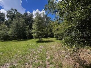 4899 Northwest 36th Street Bell, FL 32619 - Photo 39 of 67