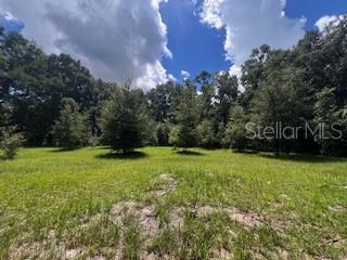 4899 Northwest 36th Street Bell, FL 32619 - Photo 40 of 67