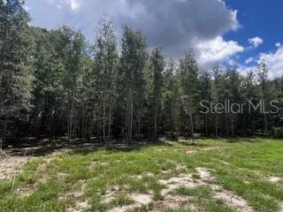 a view of outdoor space