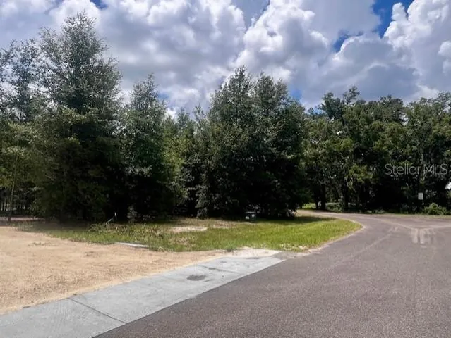 a view of an ocean and mountain