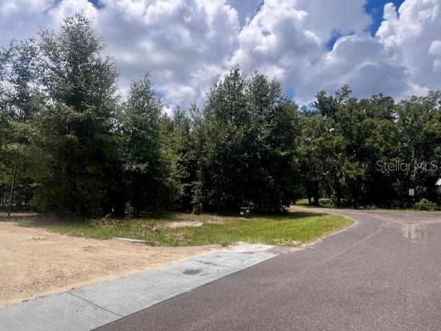 4899 Northwest 36th Street Bell, FL 32619 - Photo 45 of 67 a view of a swimming pool and trees in the background