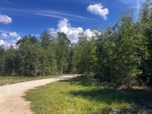 4899 Northwest 36th Street Bell, FL 32619 - Photo 46 of 67 a view of a lake with a yard