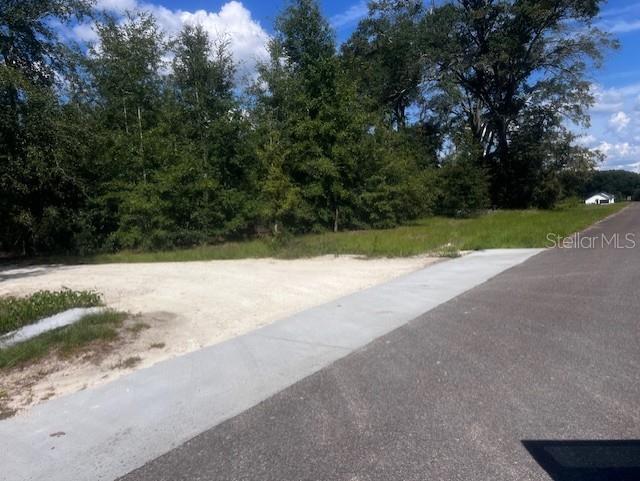 4899 Northwest 36th Street Bell, FL 32619 - Photo 47 of 67 a view of a yard with a trees