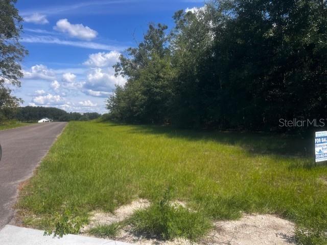 4899 Northwest 36th Street Bell, FL 32619 - Photo 48 of 67 a view of outdoor space and yard
