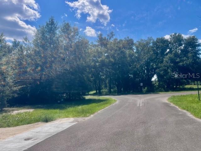 4899 Northwest 36th Street Bell, FL 32619 - Photo 49 of 67 a view of a yard