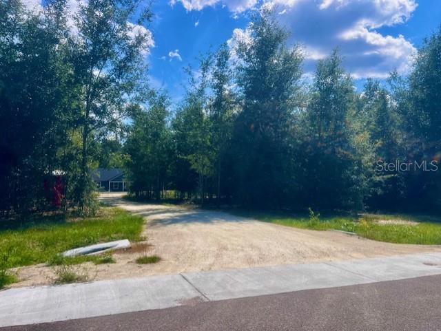 4899 Northwest 36th Street Bell, FL 32619 - Photo 50 of 67