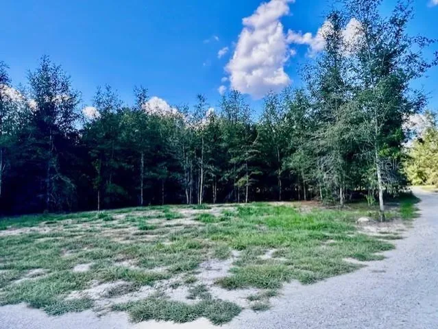 $419,000 | 4899 Northwest 36th Street, Bell, FL 32619