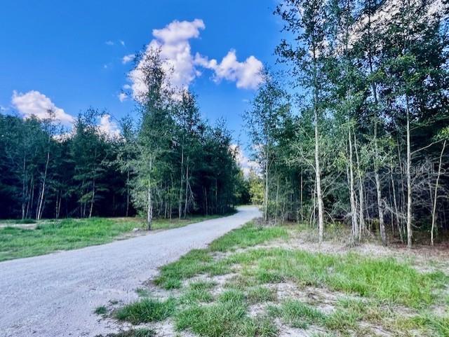 4899 Northwest 36th Street Bell, FL 32619 - Photo 52 of 67