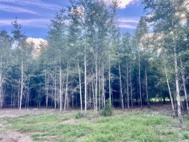 4899 Northwest 36th Street Bell, FL 32619 - Photo 53 of 67 a backyard of a house with lots of green space and plants