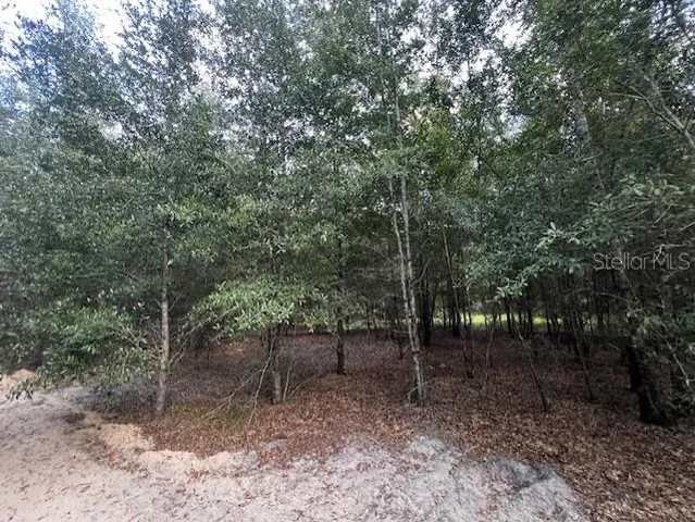 $419,000 | 4899 Northwest 36th Street, Bell, FL 32619