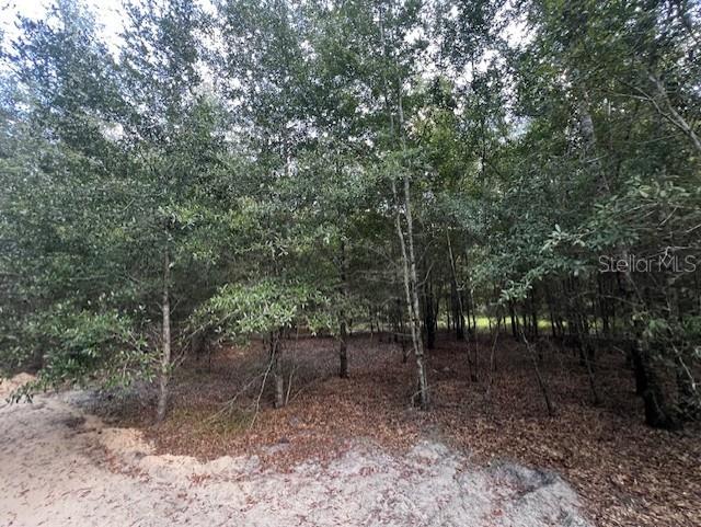 4899 Northwest 36th Street Bell, FL 32619 - Photo 54 of 67 a view of outdoor space