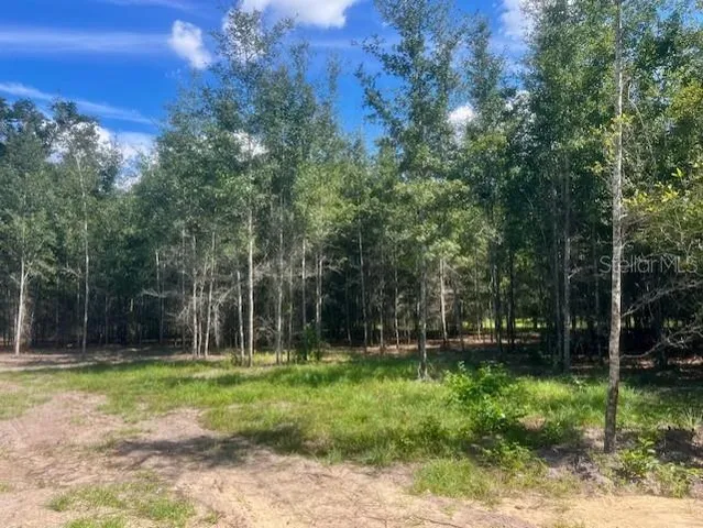 $419,000 | 4899 Northwest 36th Street, Bell, FL 32619