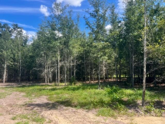 4899 Northwest 36th Street Bell, FL 32619 - Photo 55 of 67 a backyard of a house with lots of green space