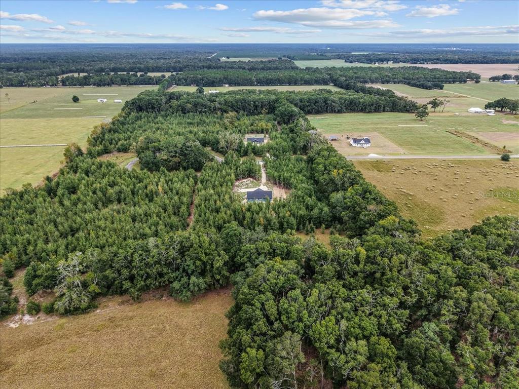 4899 Northwest 36th Street Bell, FL 32619 - Photo 59 of 67 a view of a city
