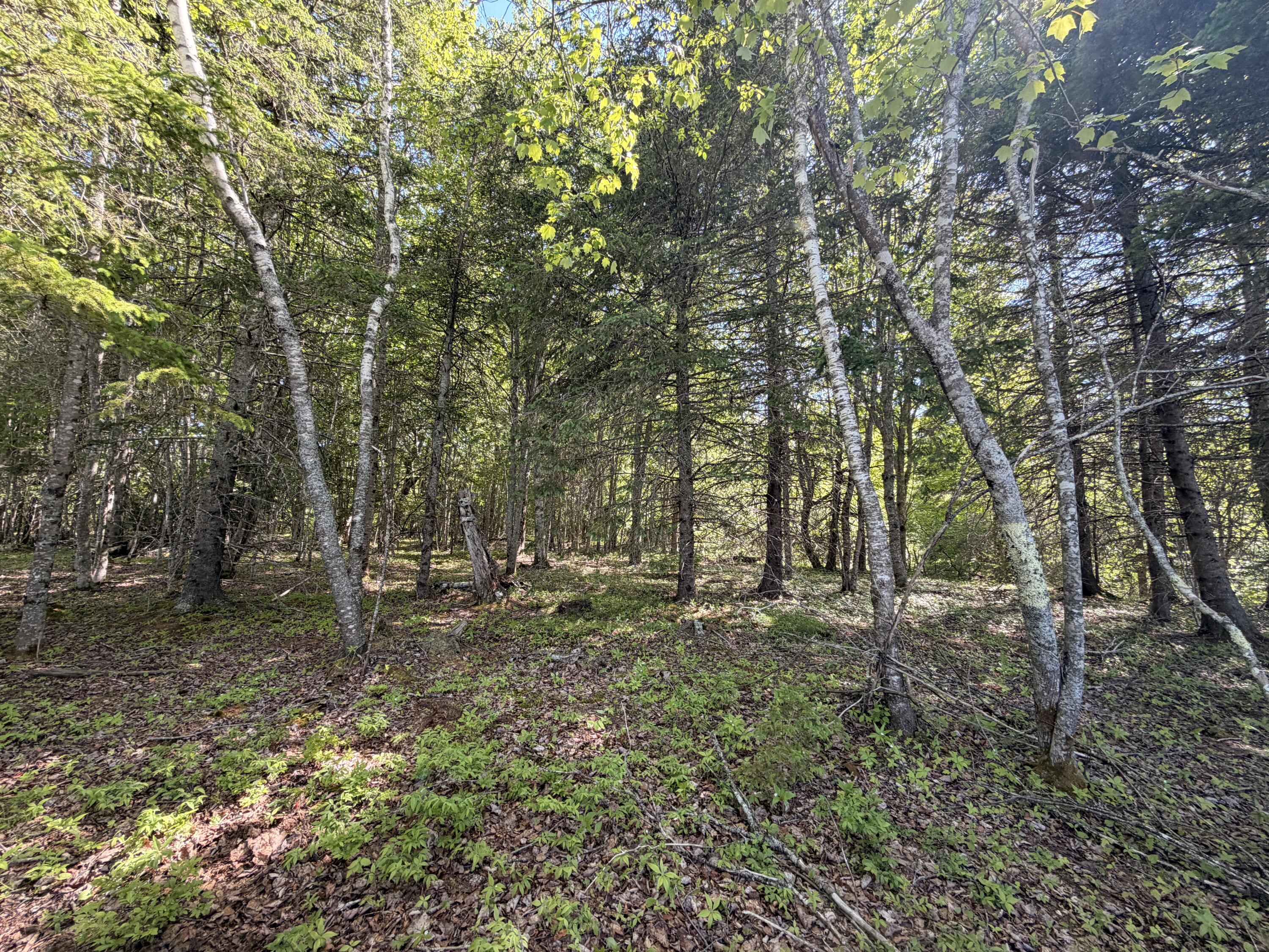 M5-l42 Hooke Road Harrington, ME 04643 - Photo 29 of 33