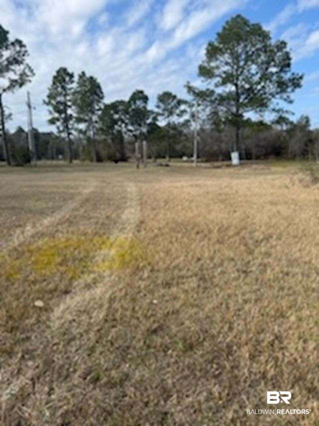 32840 Seminole Road West Seminole, AL 36574 - Photo 9 of 11 View of yard