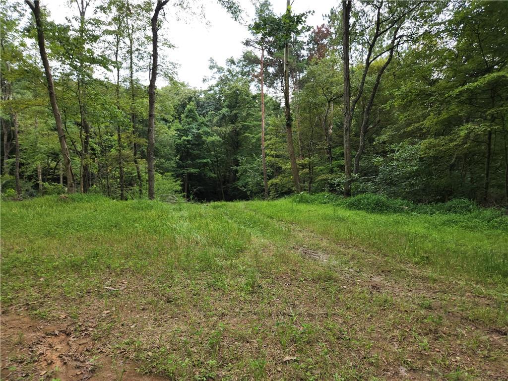 287 Thompson Road Blairsville, PA 15717 - Photo 5 of 19 Gallery Image 5