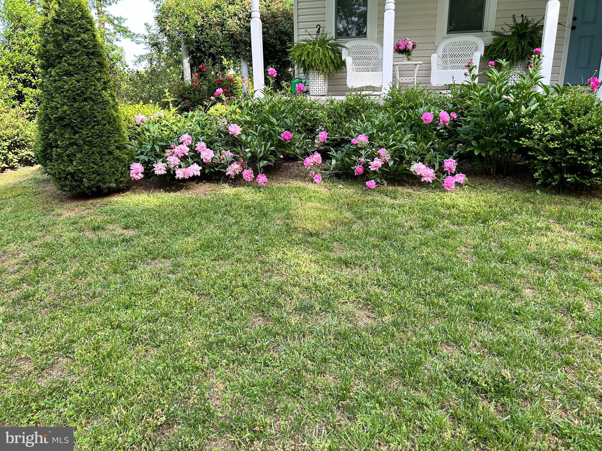 29288 Old Rhoadesville, VA 22542 - Photo 12 of 51 Spring in full bloom
