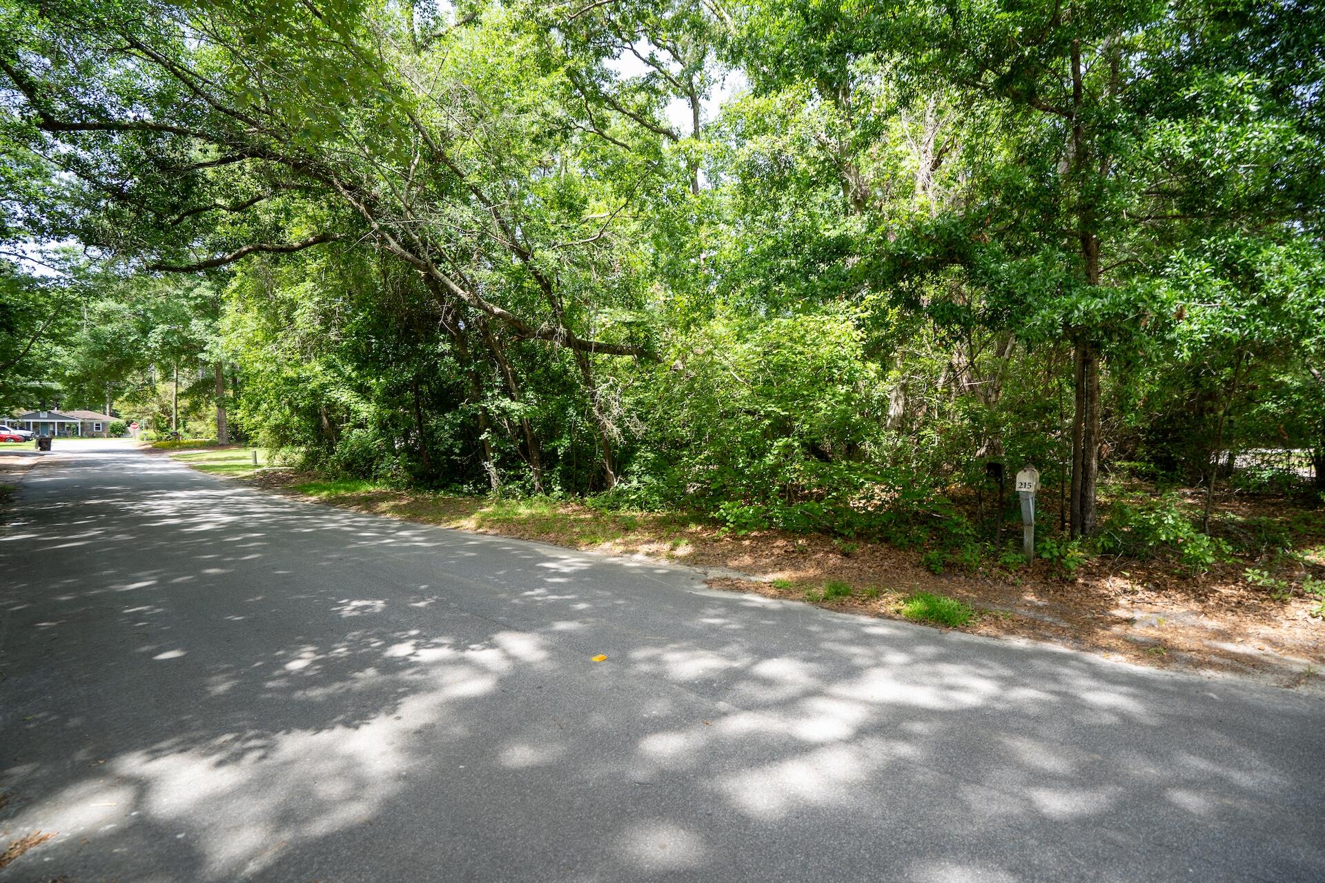 8 Sable Street Walterboro, SC 29488 - Photo 1 of 1 SDH03078