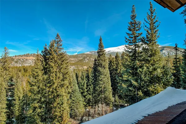 a view of a tree with a yard