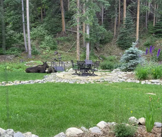a view of a street with a trees