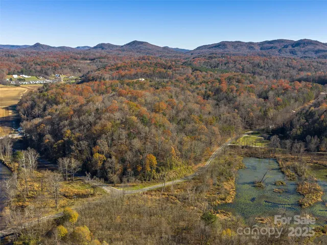 a view of mountain with trees in the background