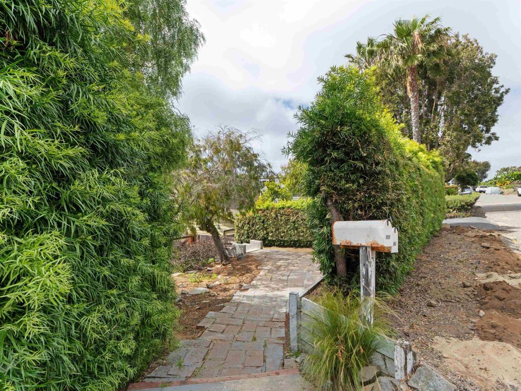 852 Dewitt Avenue Encinitas, CA 92024 - Photo 8 of 41 a view of a backyard with plants