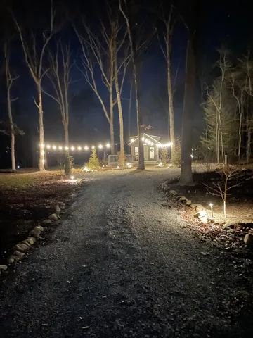 a view of a yard with an tree