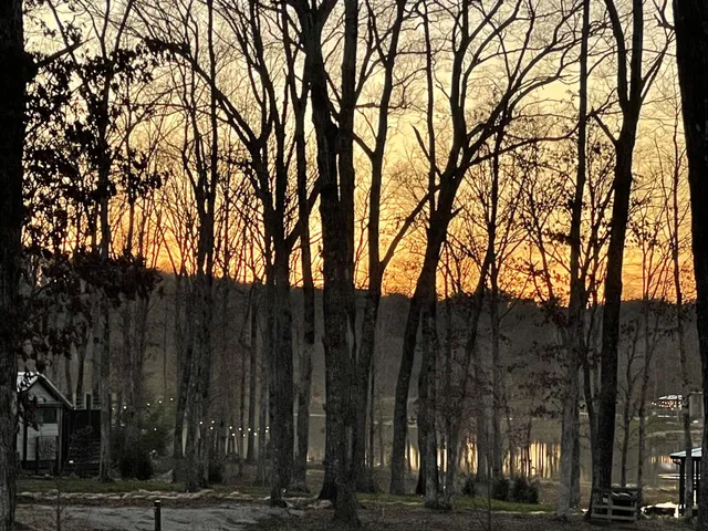 a view of outdoor space with trees