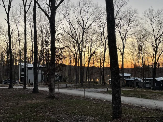 a view of park with trees