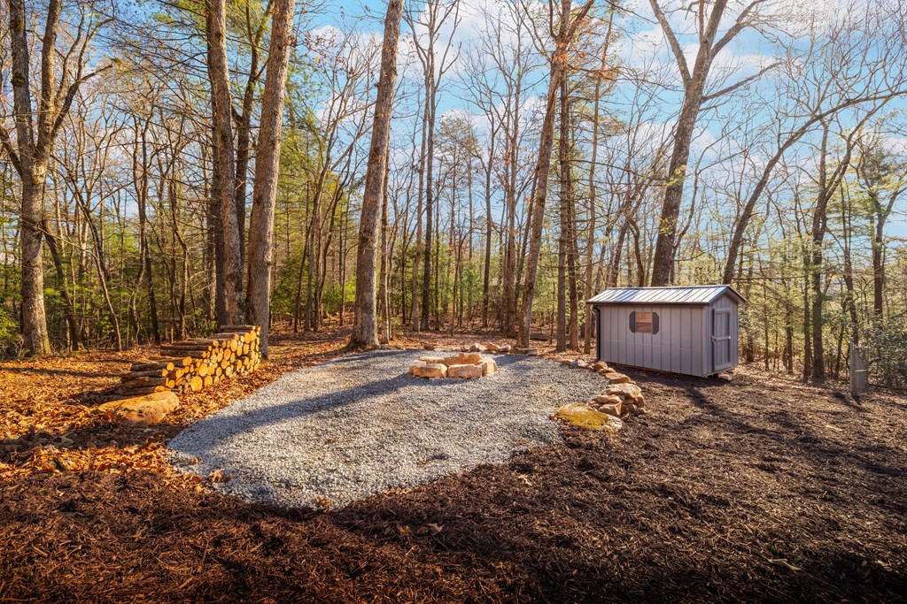 292 Wits End Way Cherry Log, GA 30522 - Photo 22 of 32 a view of backyard with a barn and large trees