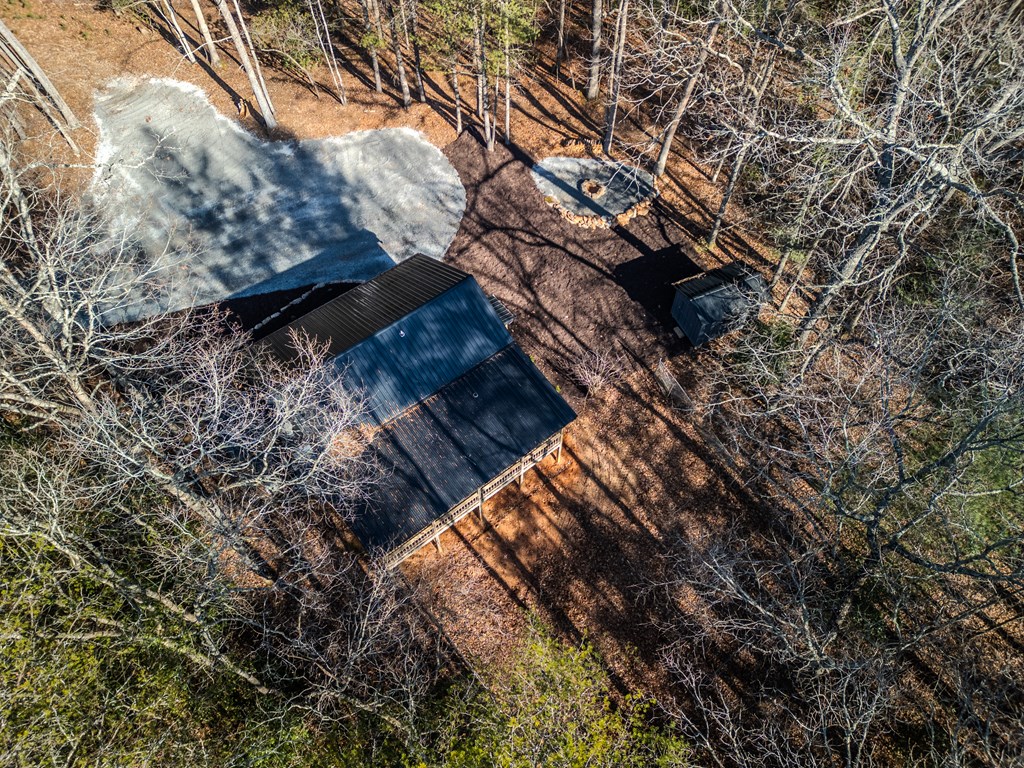 292 Wits End Way Cherry Log, GA 30522 - Photo 26 of 32 a view of tree field