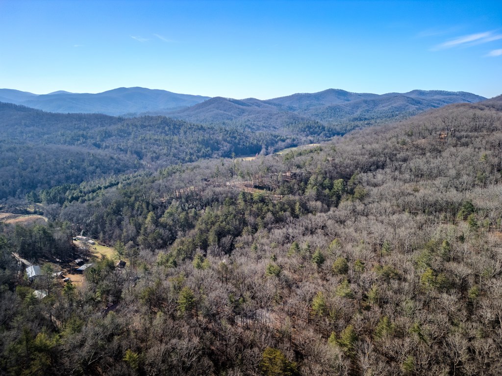 292 Wits End Way Cherry Log, GA 30522 - Photo 30 of 32 a view of a mountains in the background