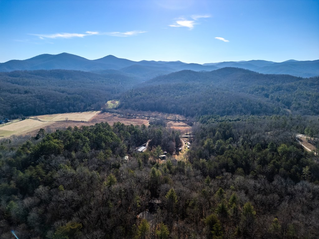 292 Wits End Way Cherry Log, GA 30522 - Photo 31 of 32 a view of a house with a mountain and a forest