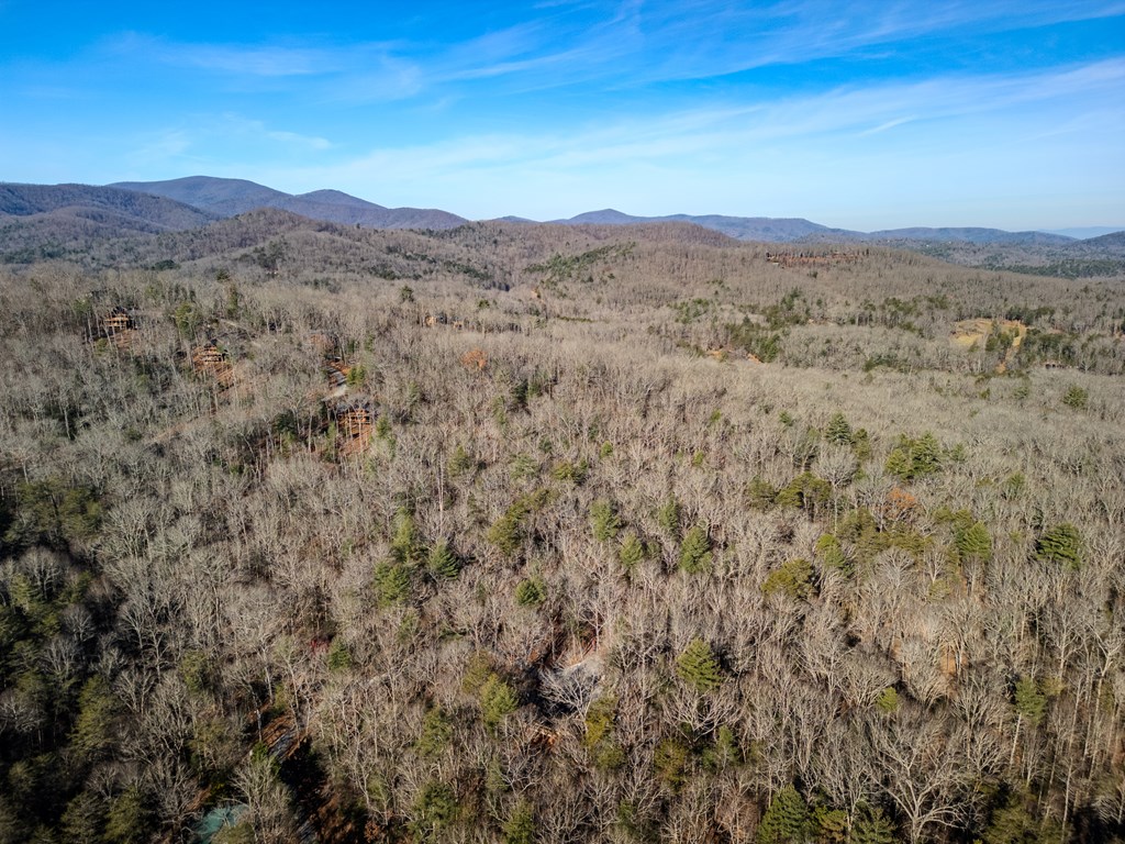 292 Wits End Way Cherry Log, GA 30522 - Photo 32 of 32 a view of a mountain range with lush green forest
