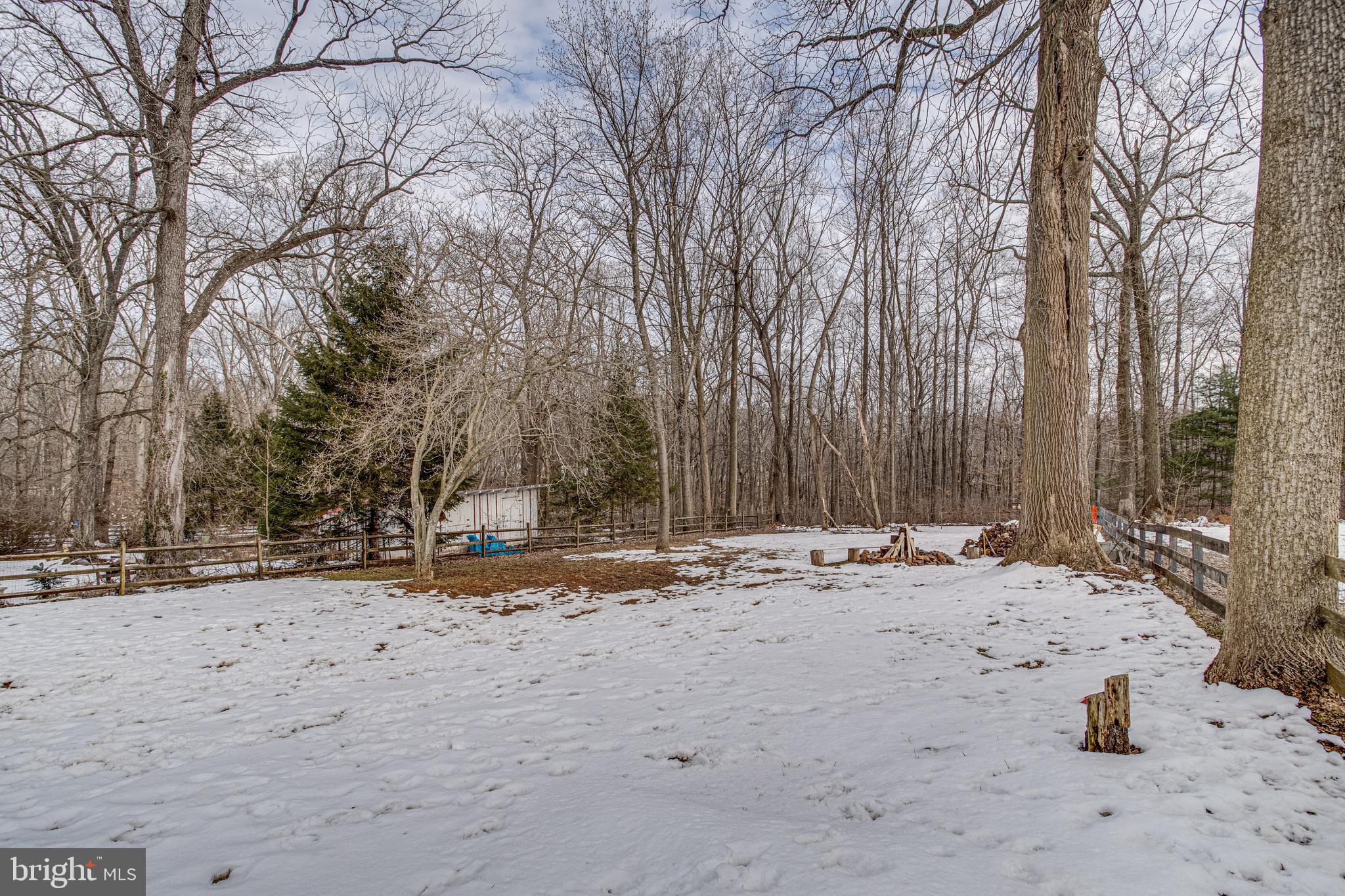 2819 Harford Road Fallston, MD 21047 - Photo 40 of 41 Expansive Backyard with forest view!