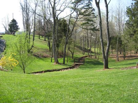 HUGE YARD!
