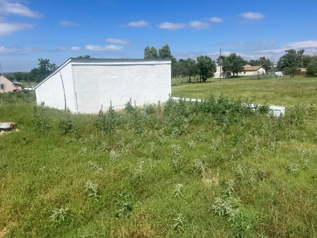 a view of a big yard with potted plants and large tree