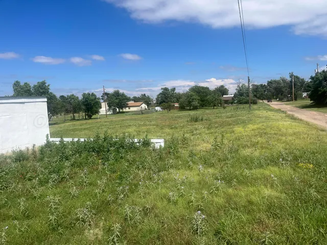 a view of a big yard with a large tree and a yard