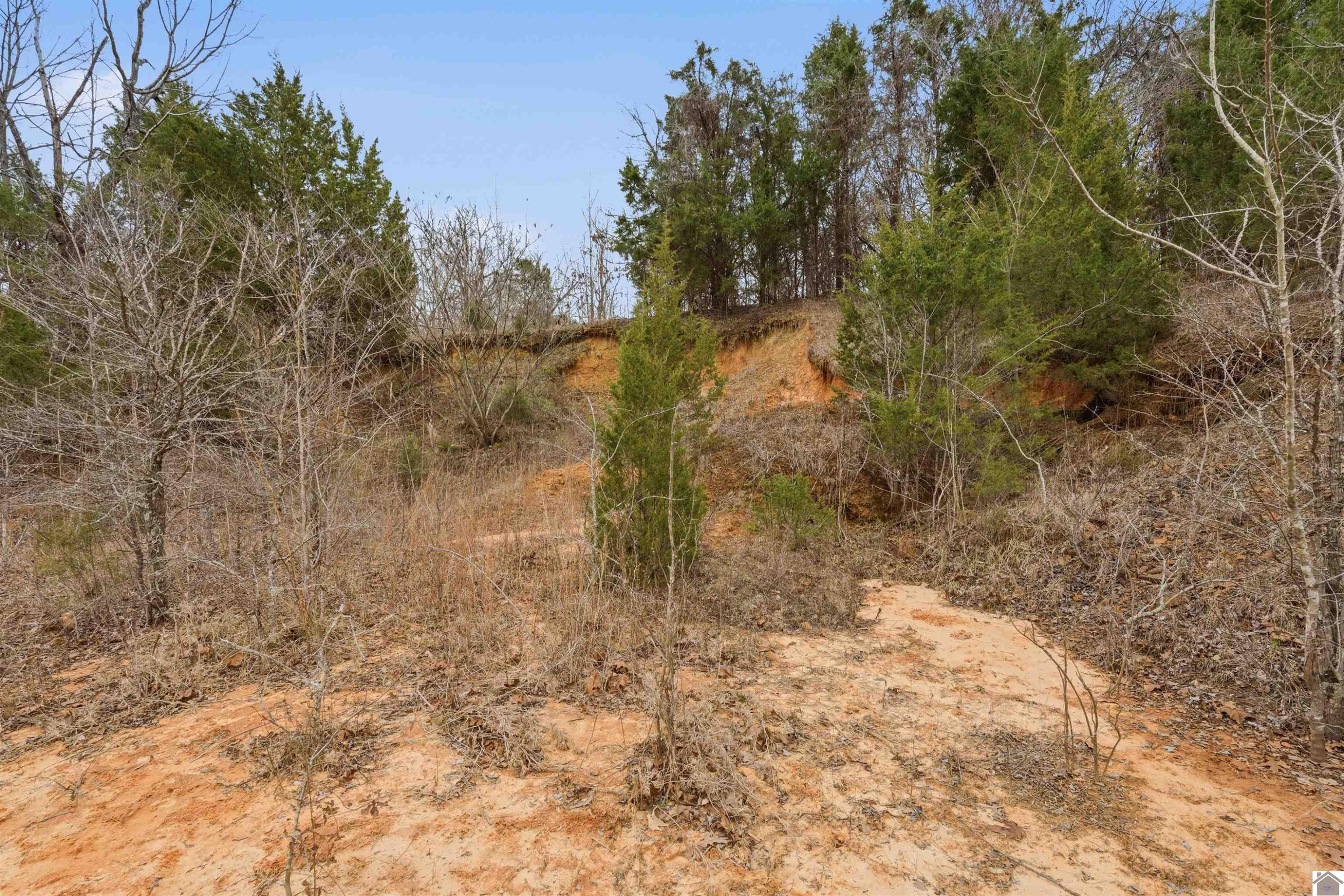 915 Jake Dukes Road Grand Rivers, KY 42045 - Photo 46 of 49 Yard