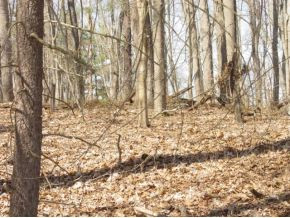 1 Bethel Road, Unit 1 Abingdon, VA 24211 - Photo 4 of 6 Photo 4