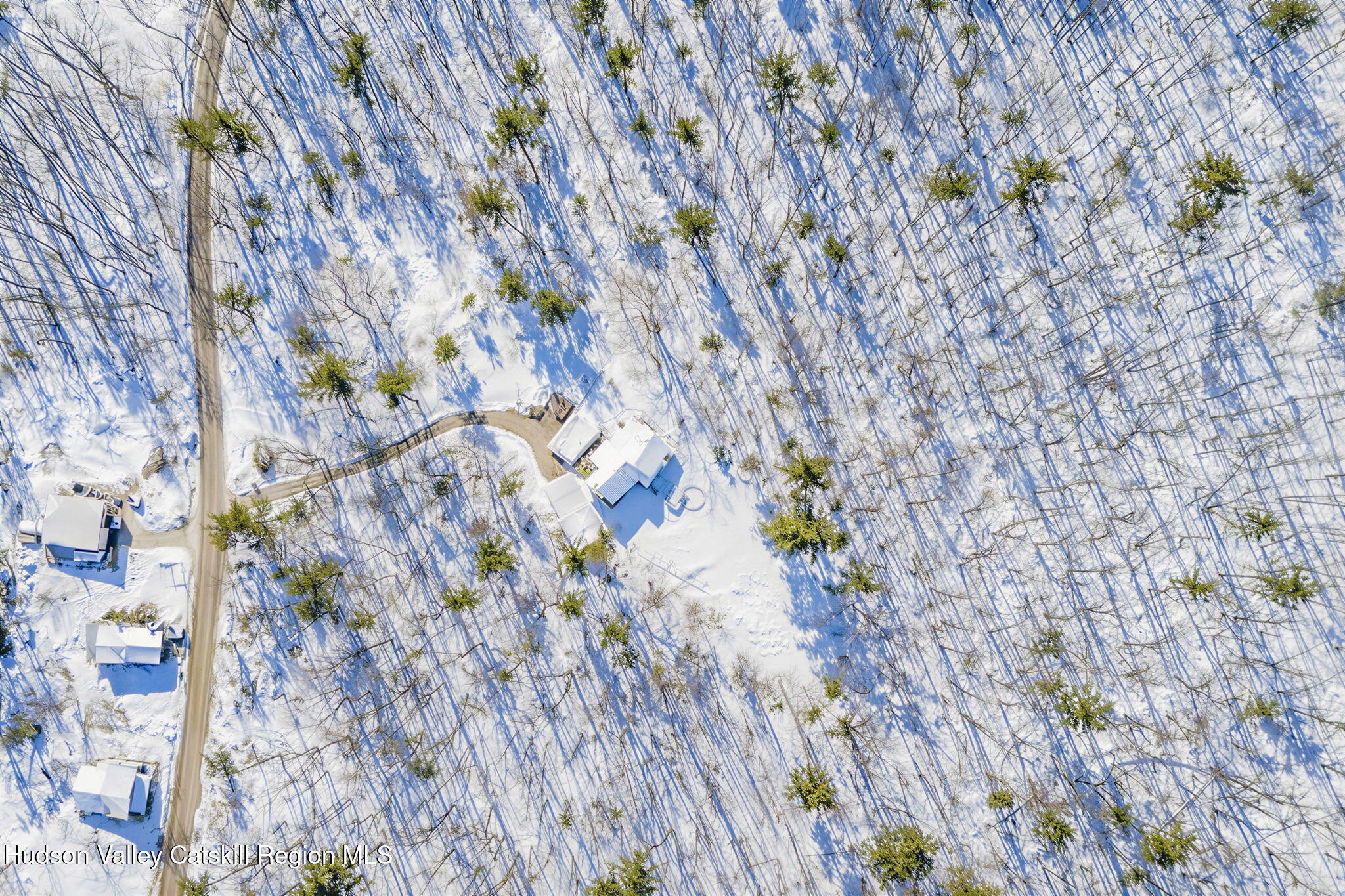 189 Yeagerville Road Napanoch, NY 12458 - Photo 6 of 38 a picture of tree