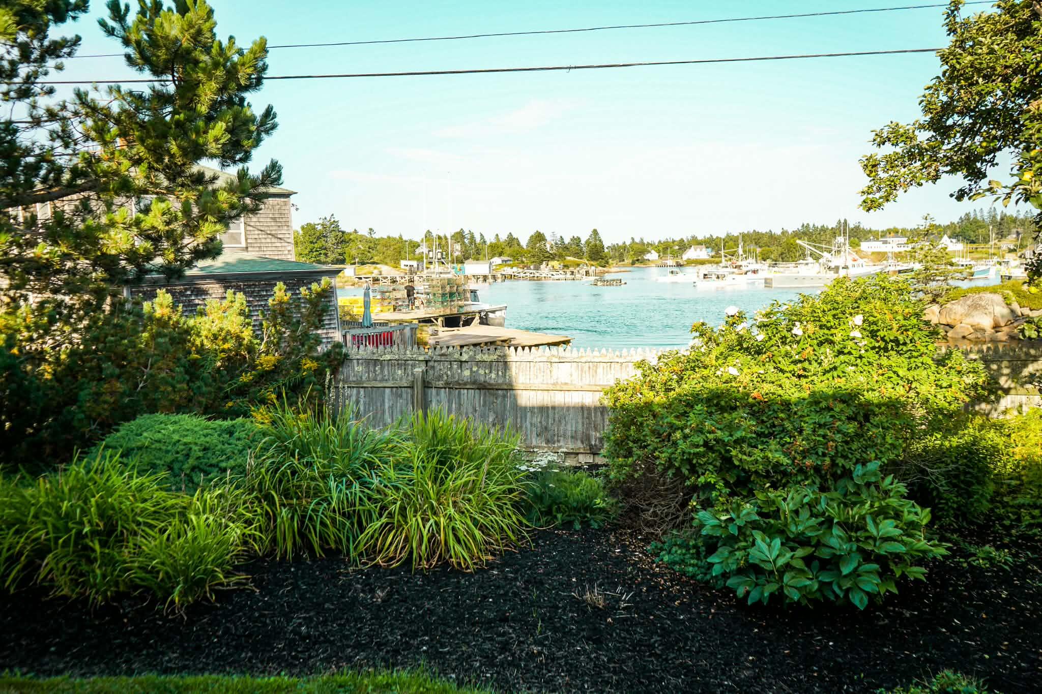 665 Corea Road Gouldsboro, ME 04624 - Photo 51 of 77 572dbbe8-fc06-49ba-860b-c270761f8b3a