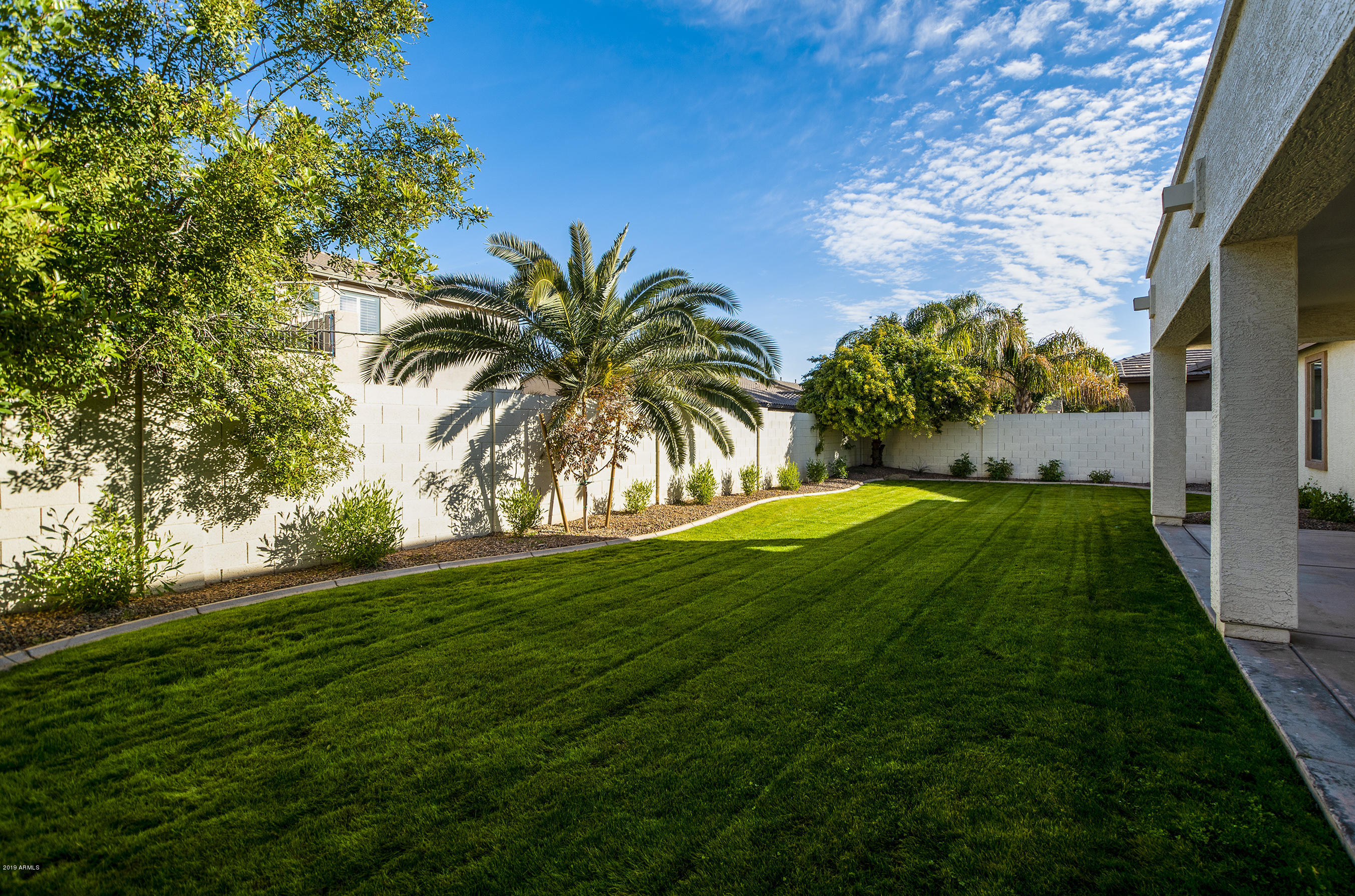 3236 East Phelps Street Gilbert, AZ 85295 - Photo 2 of 29 a view of a yard with palm trees
