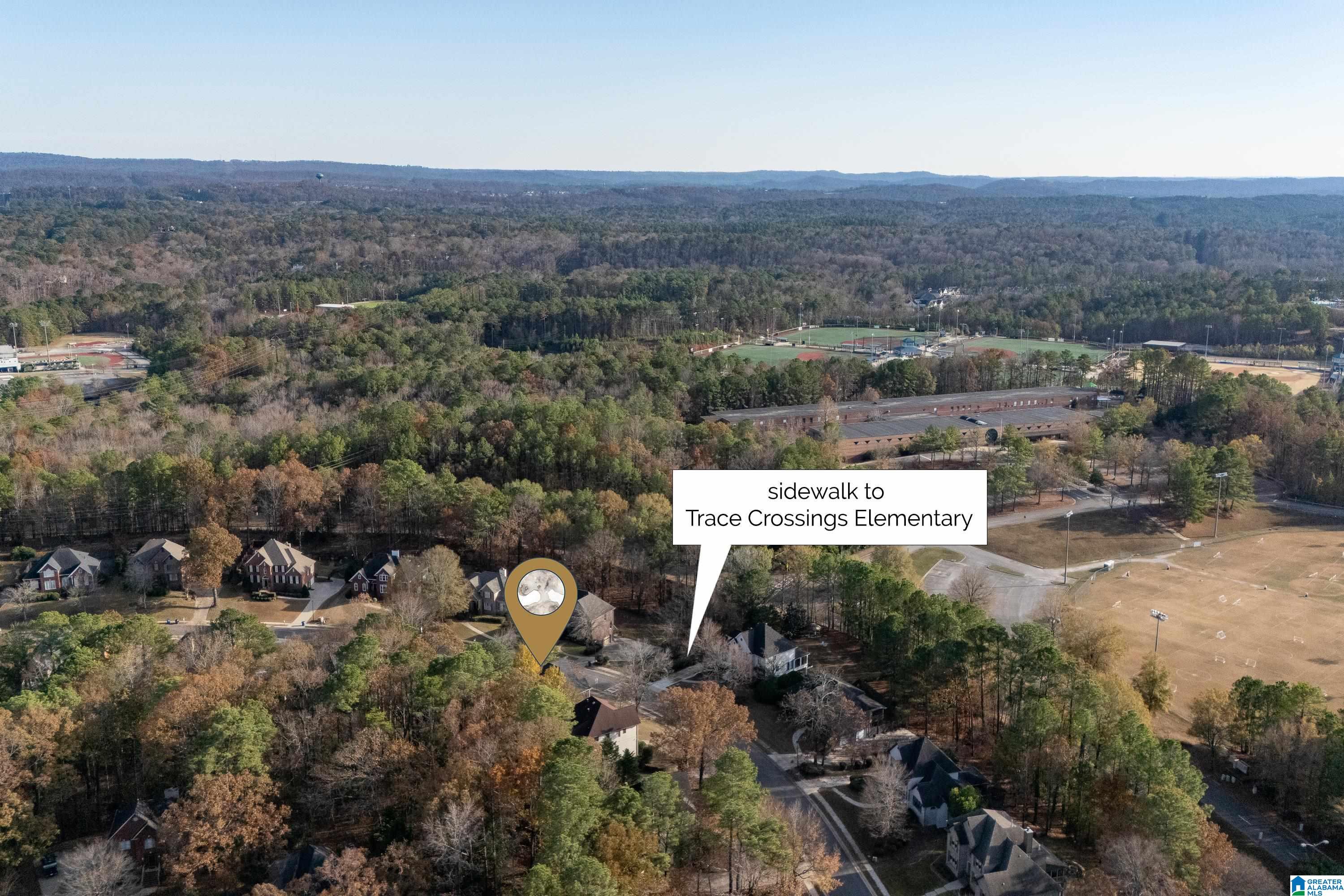 161 Maple Trace Birmingham, AL 35244 - Photo 58 of 60