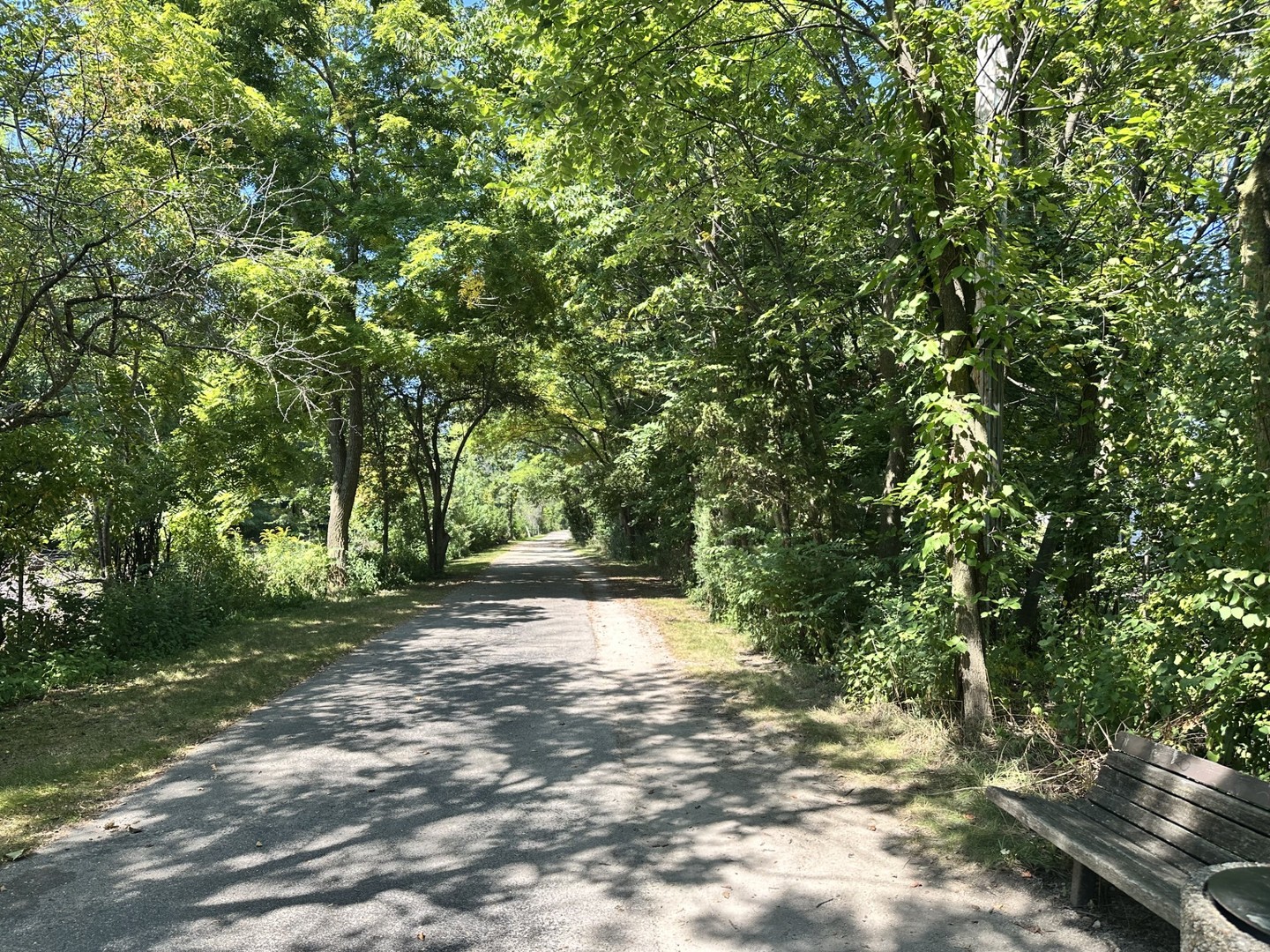 381 Wilson Street Winnetka, IL 60093 - Photo 25 of 28 a view of a yard with plants and trees