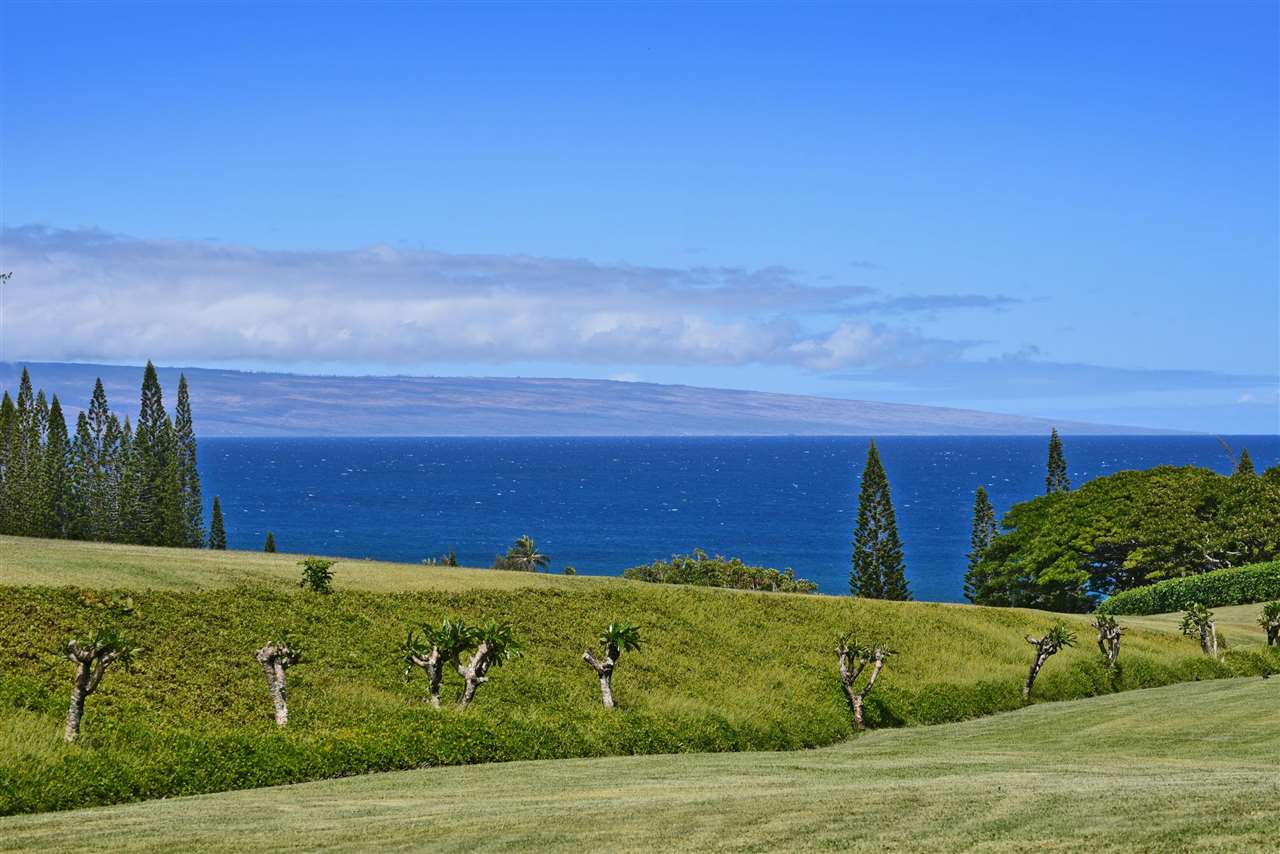 100 Ridge Road, Unit 2312 Lahaina, HI 96761 - Photo 30 of 30