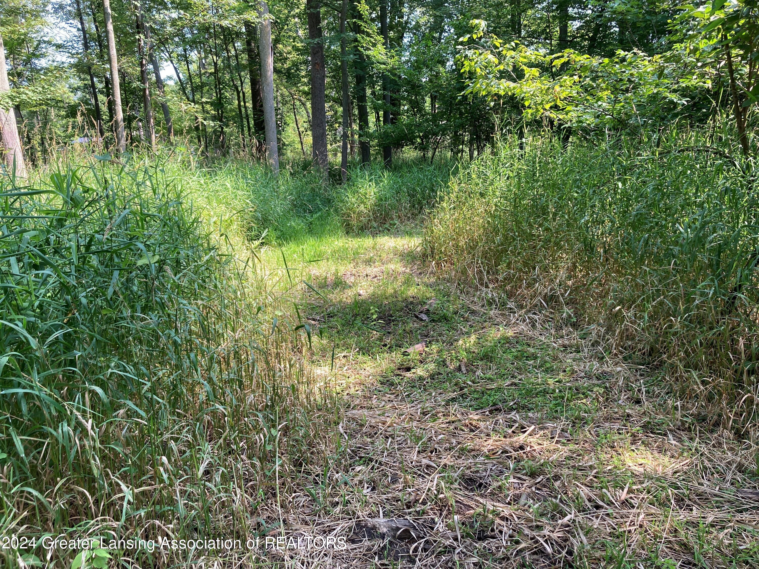 13136 South Francis Road Dewitt, MI 48820 - Photo 40 of 50 40
