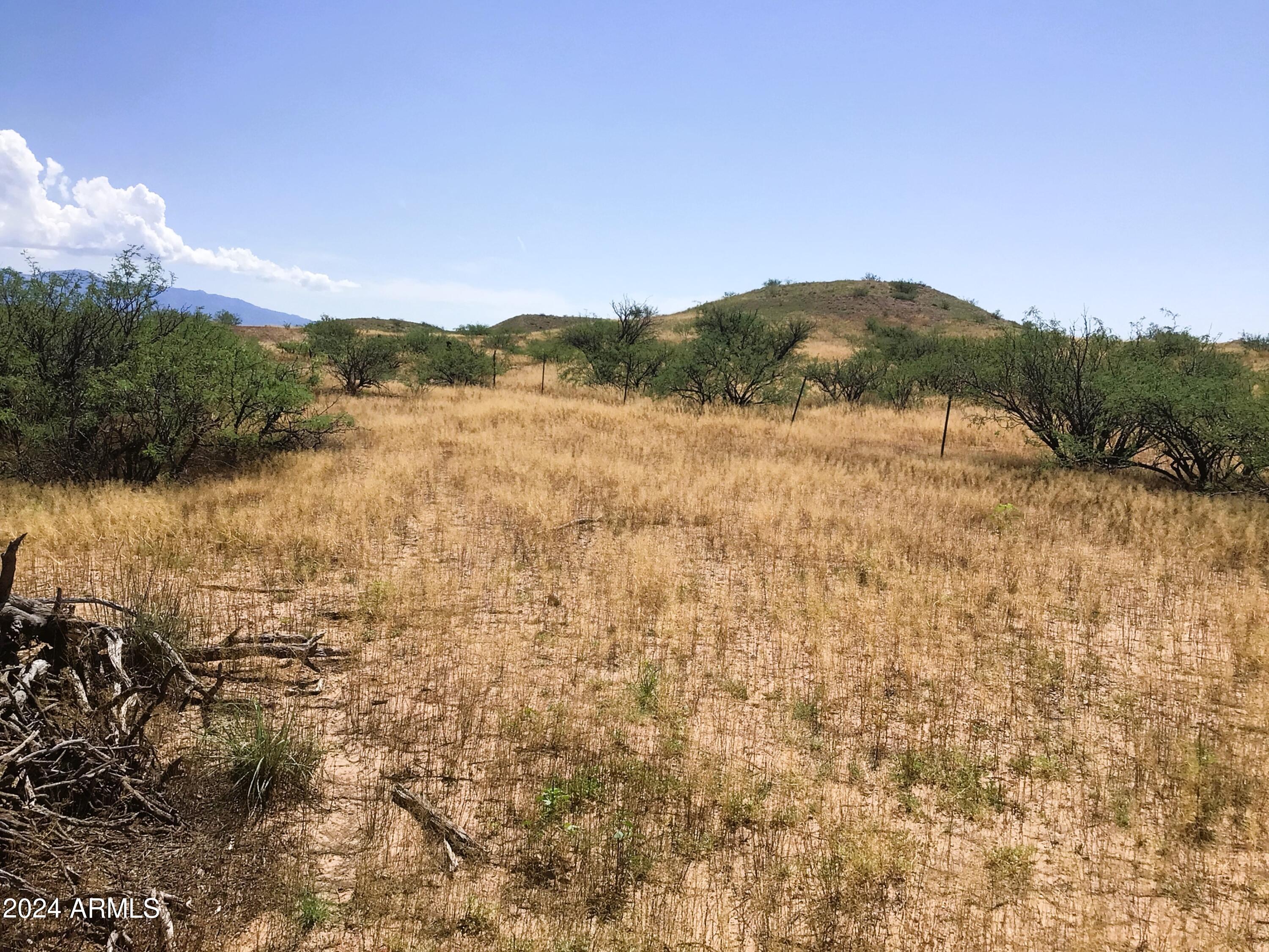 37.04-ac South Warpaint Path, Unit 10 Willcox, AZ 85643 - Photo 17 of 50 IMG_3980