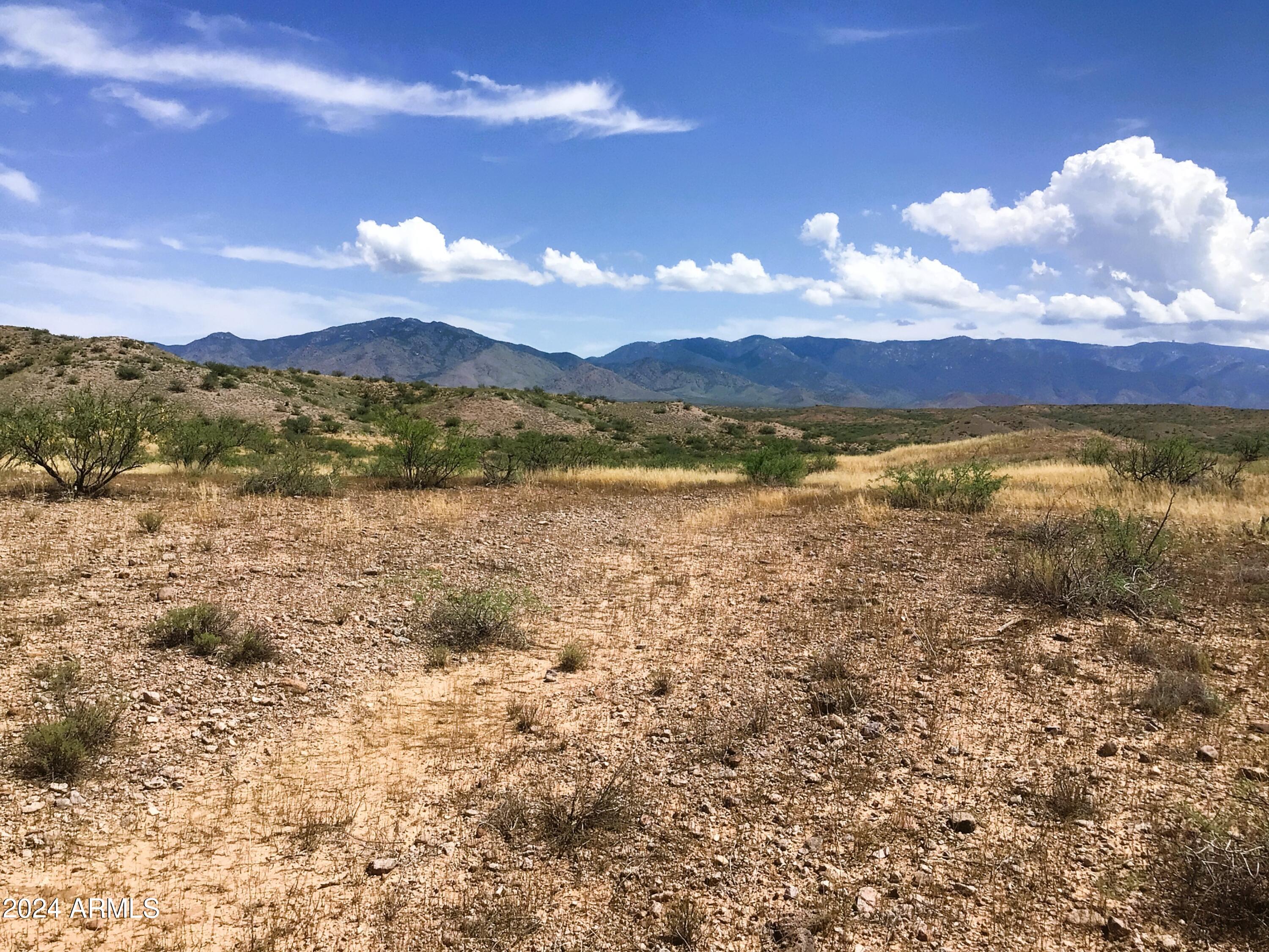 37.04-ac South Warpaint Path, Unit 10 Willcox, AZ 85643 - Photo 22 of 50 IMG_3988